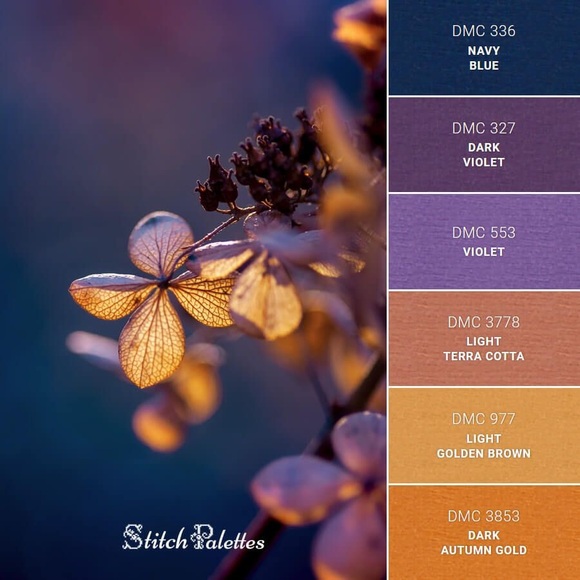 Coach 1941 Hobo Bandit 39 In Black Smooth Pebble Leather - Picture 8 of 13